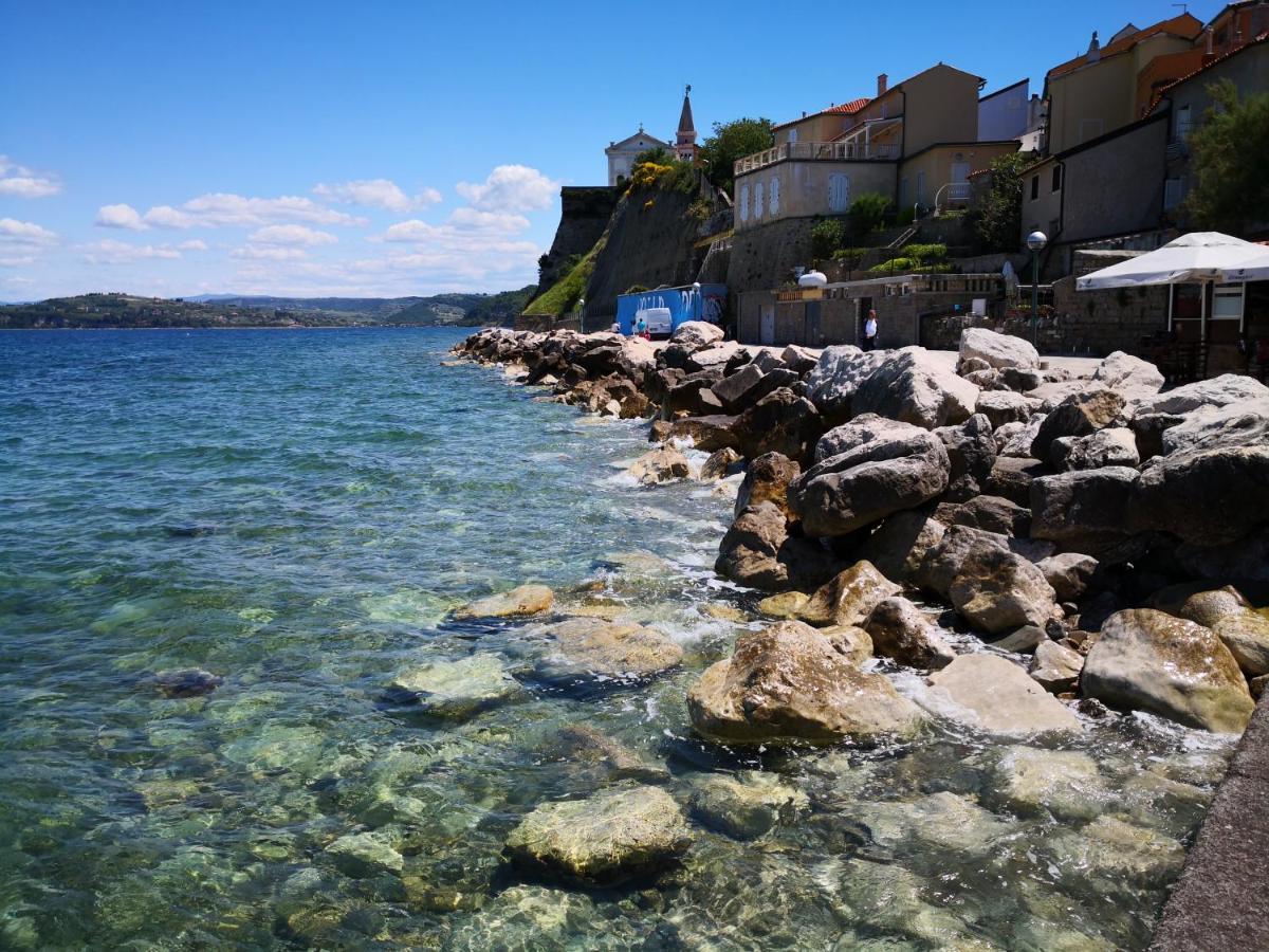 Apartament Galilea 14 Piran Zewnętrze zdjęcie